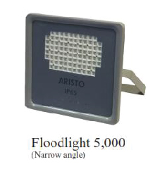 Flood Light